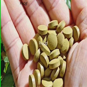 

Ngryise 200Pcs A Set Arctium lappa niubang qingqianliu