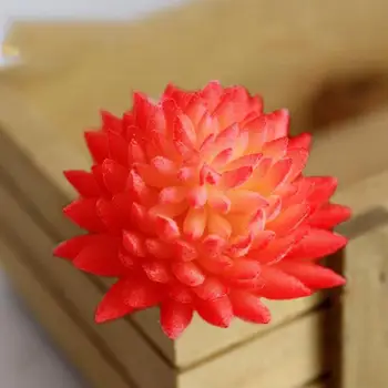 

Green Purple Red White Blue Flocking Artificial Succulents Plants Mini Plants Decoration Desktop Home Bonsai Garden Plastic L5E6