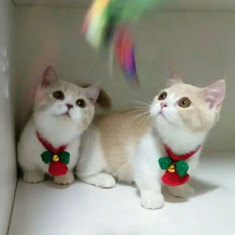 Рождественский кошачий собачий ошейник с колокольчиком ПЭТ банты для щенка йоркширк Регулируемый шейный ремень уход за собакой аксессуары для животных принадлежности