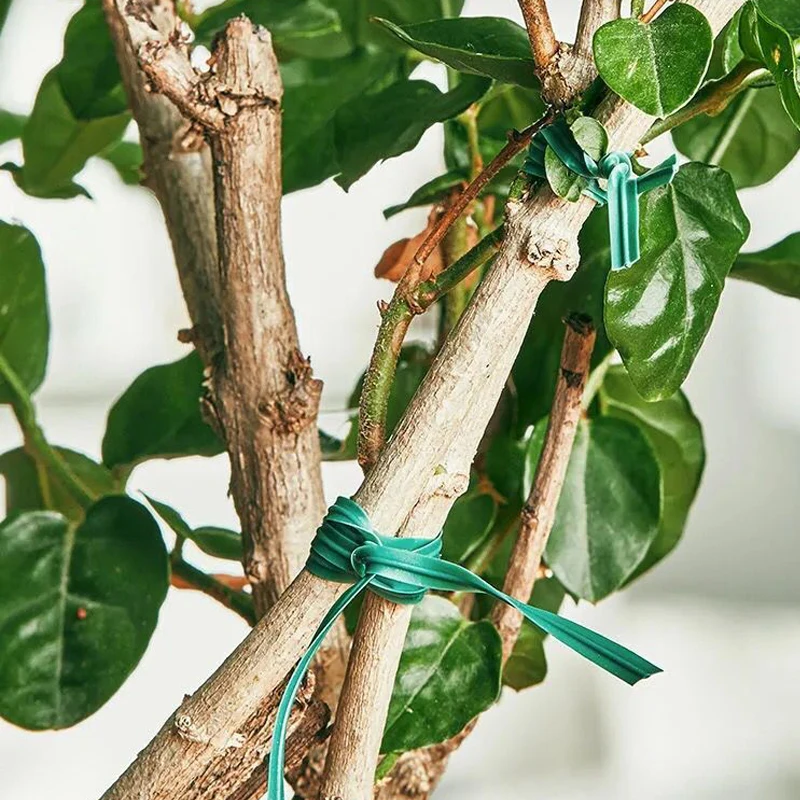 Portable 100M roll wire twist ties for garden cable gardening climbers slicer plant support care plant ties plastic plant cable ties plastic plant supports plant clips plant climbing support plant stem support plant support racks plant support connector plant support stick