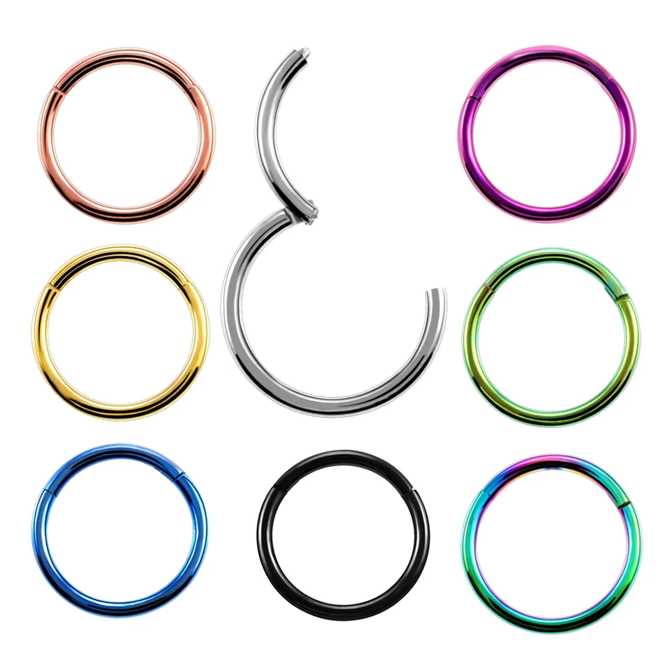 2Pcs/lot G23 Titanium Fake Nose Ring Goth Punk Lip Ear Nose Clip On Fake Septum Piercing Nose Ring Hoop Lip Hoop Rings Earrings