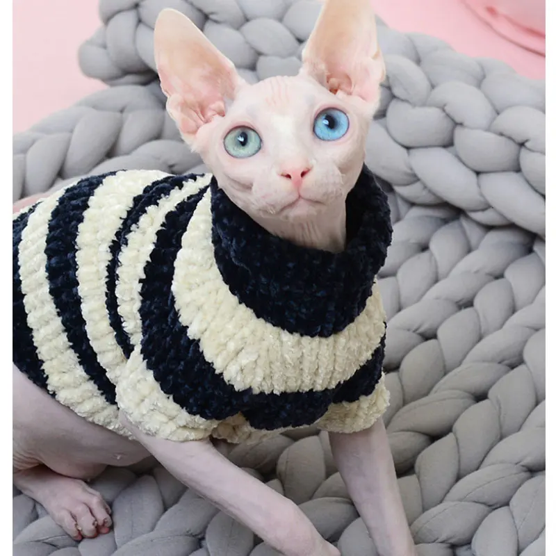 Hairless Cats In Sweaters