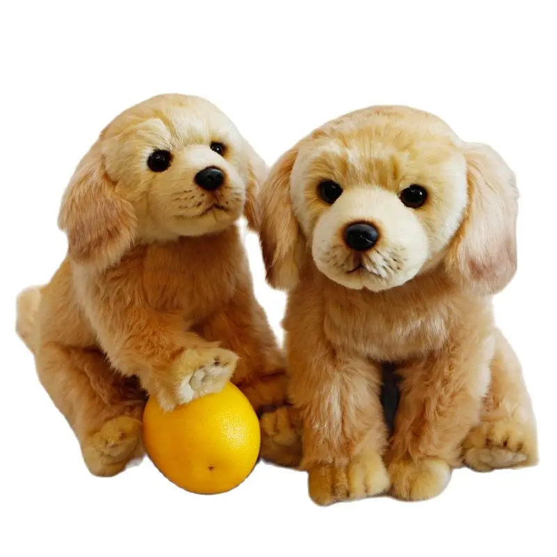 Корейский моделирование лабрадор золотистый ретривер кукла собака