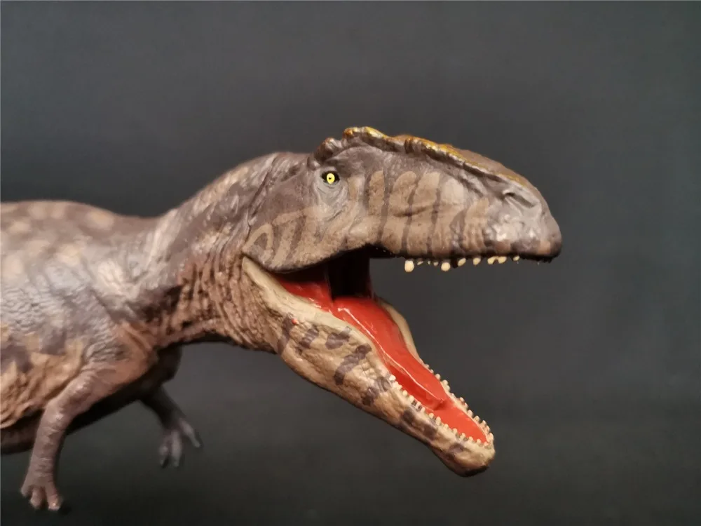 892F95BE8797FB2A699FCB2766D78F35