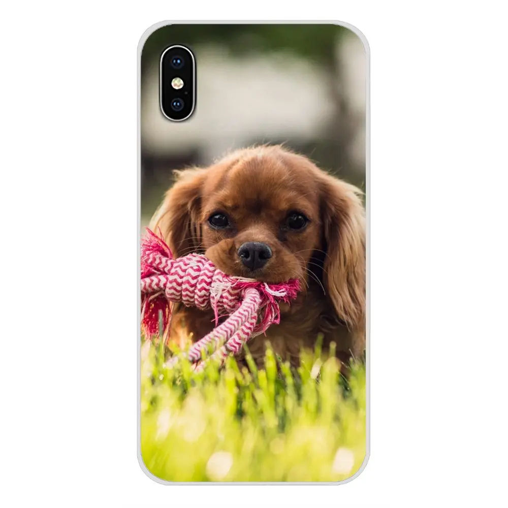 Мягкий кожаный чехол кавалер король Charles собака спаниеля для huawei G7 G8 P7 P8 P9 P10 P20 P30 Lite Mini Pro P Smart Plus - Цвет: images 10