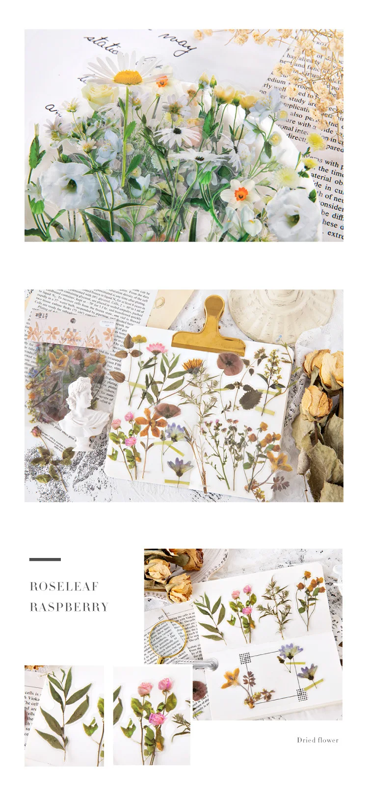 11952257737_82123617