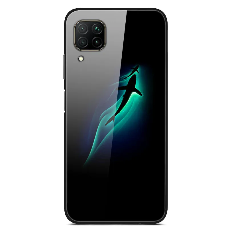 Чехол из закаленного стекла для huawei Nova 6 SE чехол Nova 6SE, цветная жесткая задняя крышка из поликарбоната для huawei Nova 6 чехол Nova6 5G, бампер - Цвет: 2