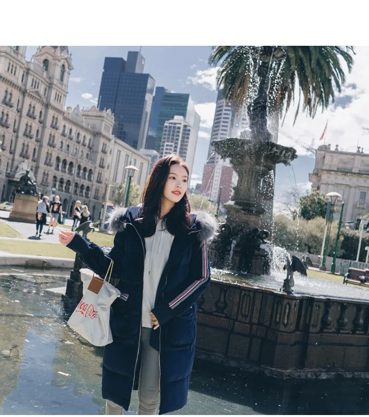 Photo Shoot Contrast Color Webbing Large Fur Collar Hooded Cotton-padded Clothes Women's CHIC Textured Dark Blue Velvet Loose-Fi