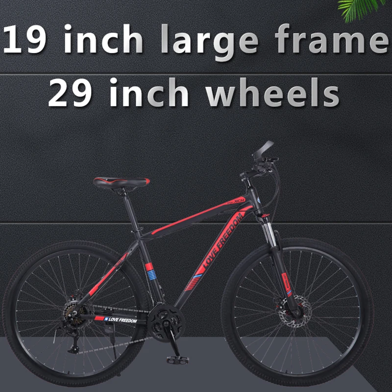 Bike Aluminum Alloy Road Bicycle 19 