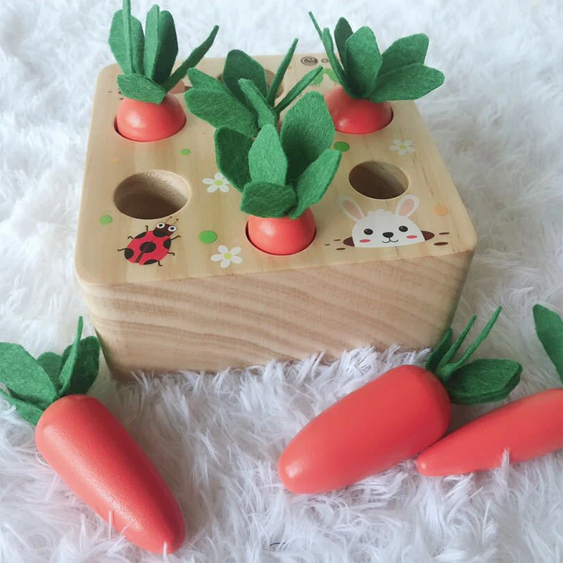 

Montessori Materials Shape Matching Kids Toy Baby Wooden Block Set Early Learning Educational Toys for Children Birthday Gift