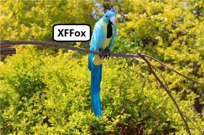 

new real life blue&yellow parrot model foam&feather big simulation parrot bird gift about 60cm xf2629