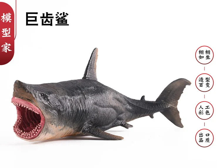 Детская модель и молоток биологическая игрушка модель Megalodon большая белая акула убийца акулы морского дна Акула Тигр модель акулы