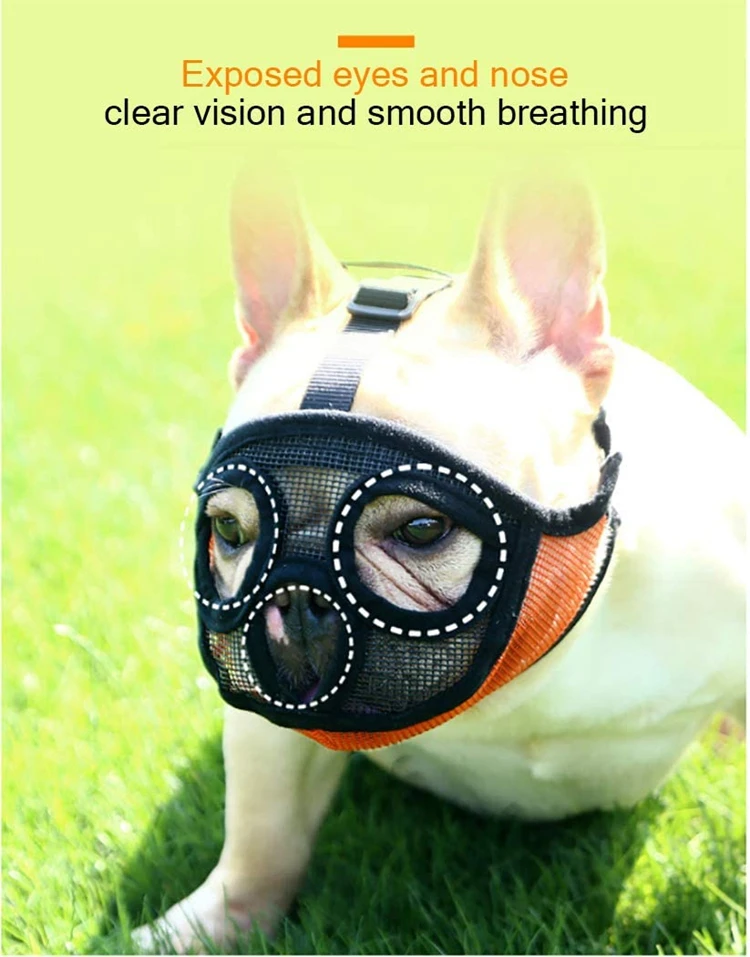 1 - 616udKa0ljL._AC_SL1050_