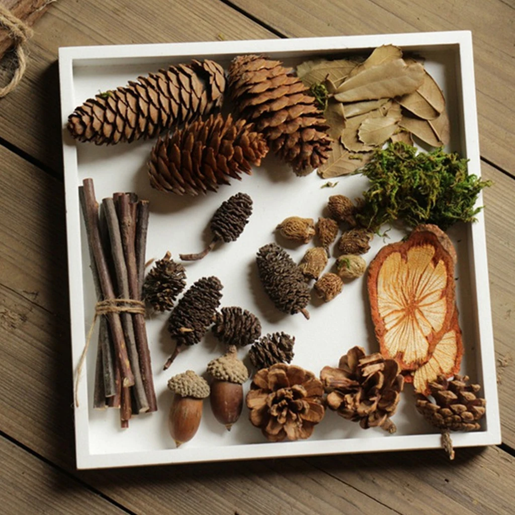 40pcs Natural Dried Pine Cones Acorns Floral Craft DIY Christmas Decoration