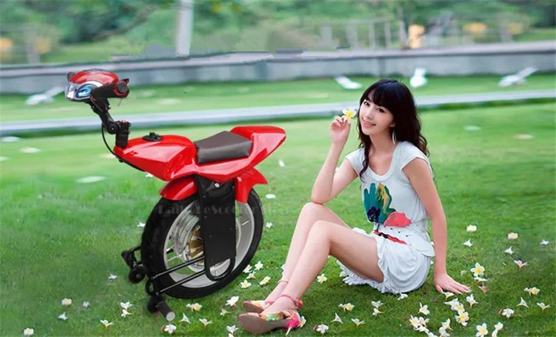 Daibot Powerful Electric Scooter 18 Inch Self Balancing Scooters 1000W Off Road Adult Electric Scooters Monocycle With Bluetooth (8)