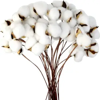

10/20pcs DIY Naturally Dried Cotton Stems For Household Farmhouse Decorative Artificial Dried White Cotton Flower Branch