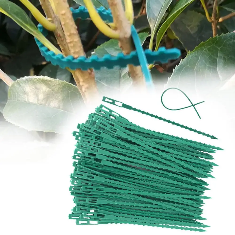 

# 50/30 Pcs Fishbone Spur Green Landscape Reusable Garden Plastic Plant Belt Ties Tie Garden Fishbone Band Tools