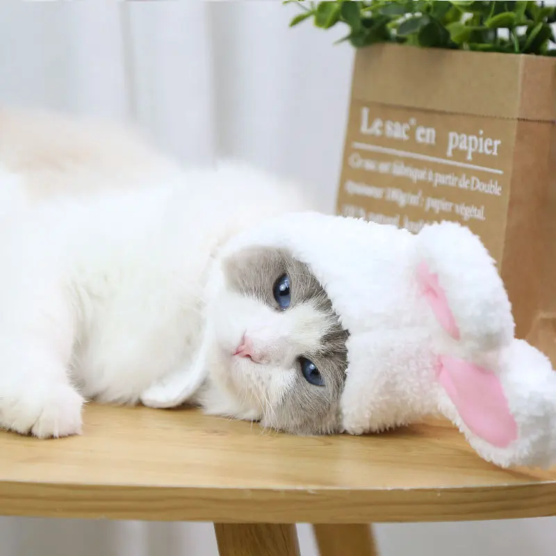 Забавная Милая шапочка для костюма кролик с ушками кошек и маленьких собак