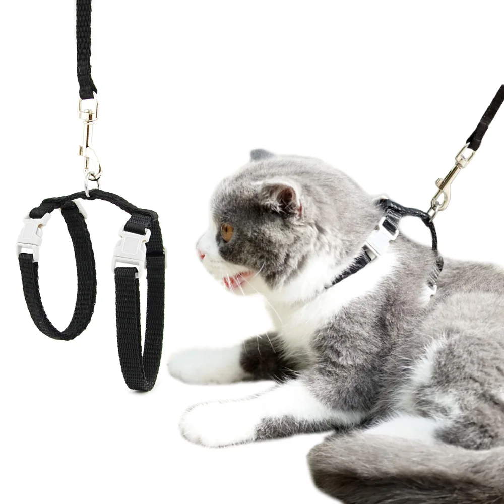 Harnais Reglable En Nylon Pour Chat Et Chien Accessoire De Traction Pour Animaux De Compagnie Solide Licou Ceinture Pour Taille M Aliexpress