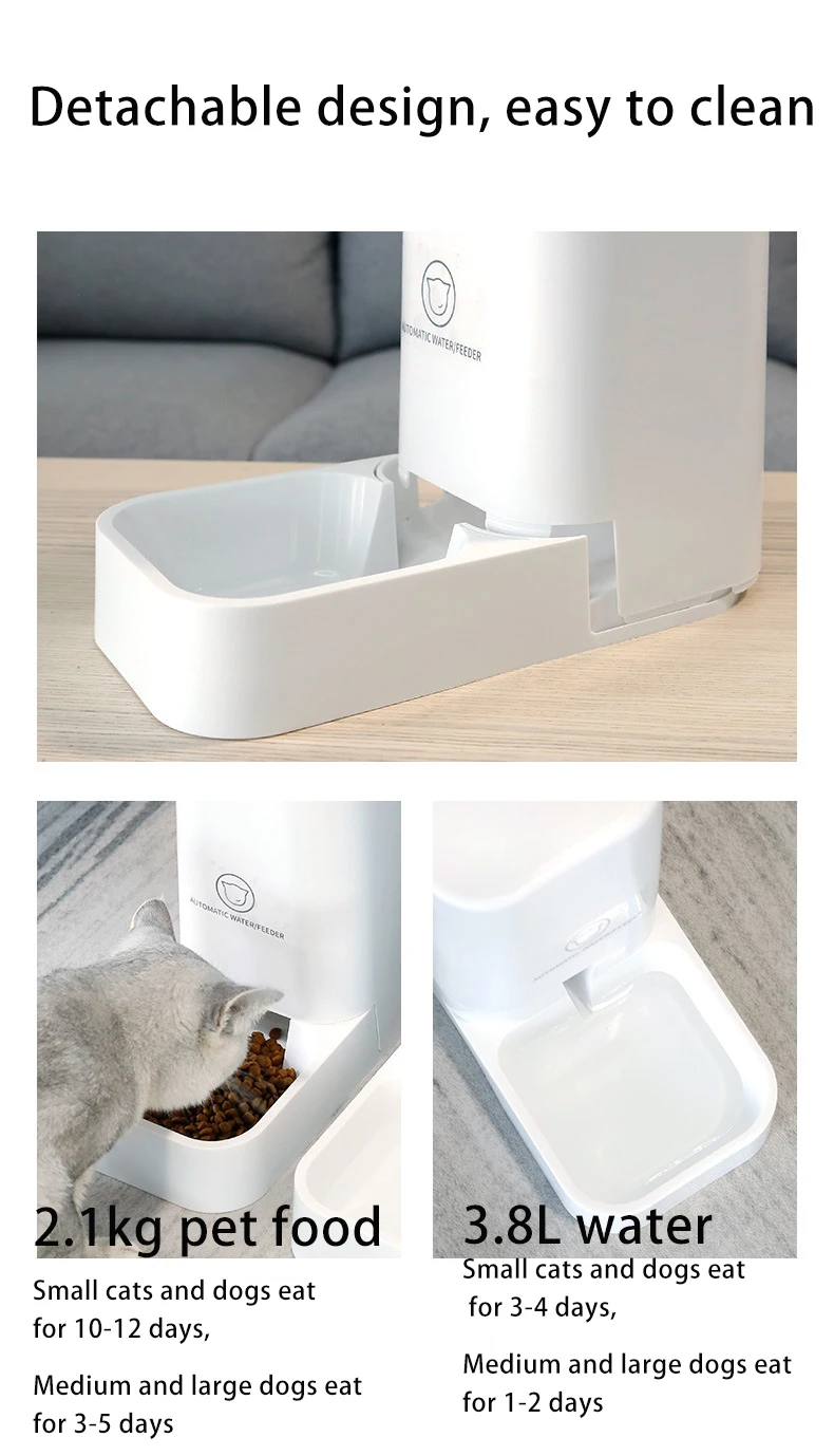 19857726623_1432003957