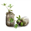 Garden Supplies