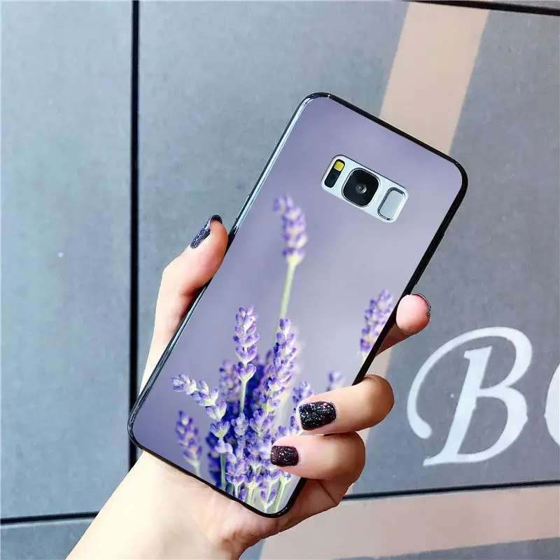 Simple lavender Purple flowers   