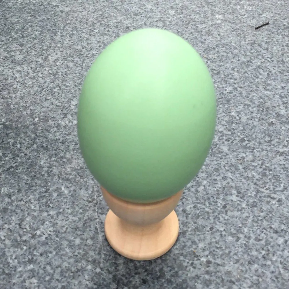 YY287800-D-5-1