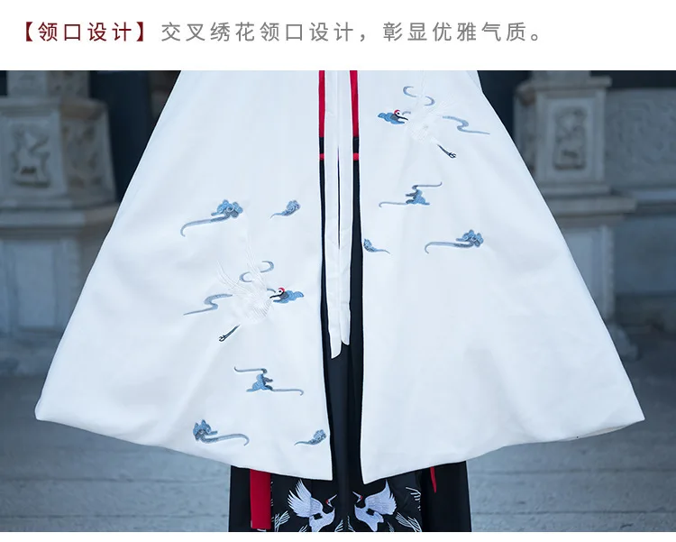 Hanfu плащ для женщин и мужчин, пальто с вышивкой, Осеннее и зимнее пальто для девушек, фестивальный Рейв, наряд для певцов, одежда для выступлений DC3438