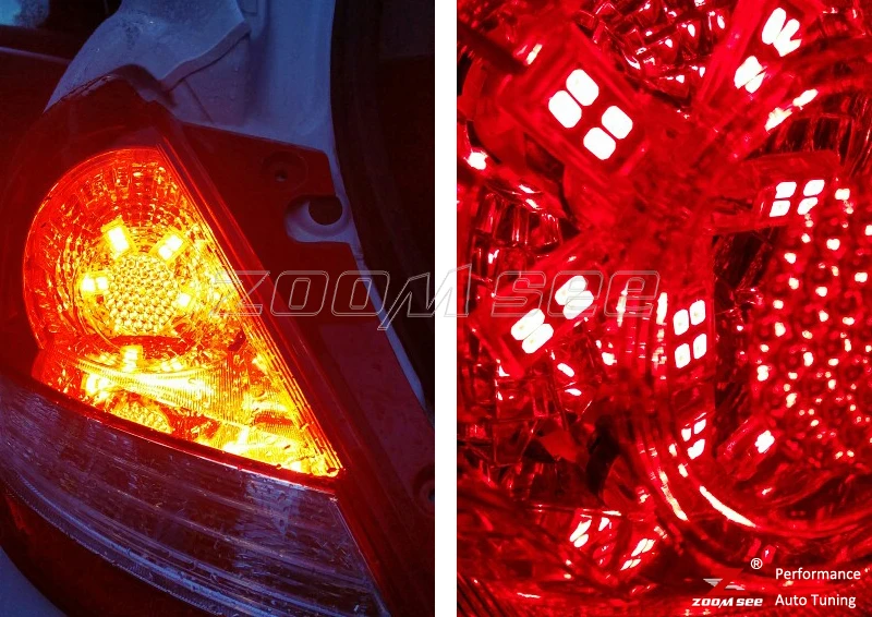 五爪雨燕详图-2