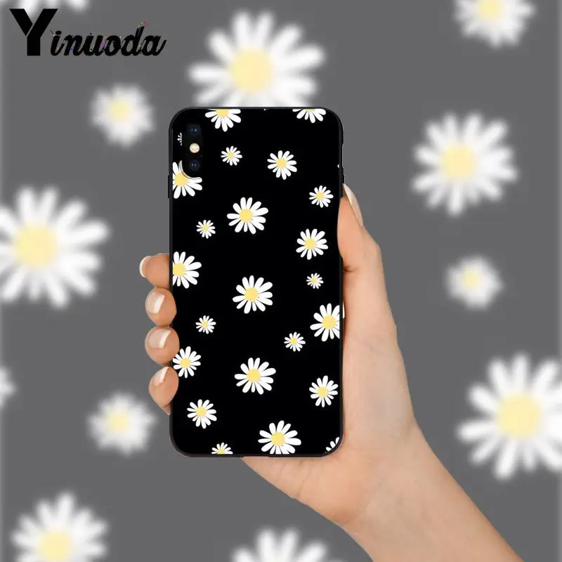 daisy