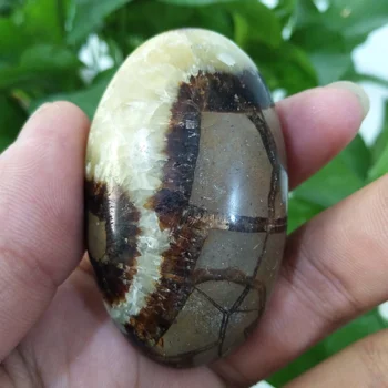 

Natural stone septarian ceystal palm healing crystals Decorative collection stones and crystals