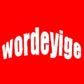 Worldyige Store