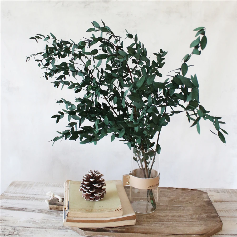 

Dried Natural Flowers Preserved Eucalyptus Leaves Eternal Dry Flower Wedding Marriage Home Living Room Decoration Accessories