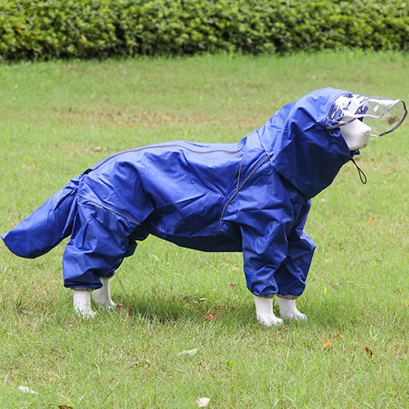 chuva à prova dbig água grande cão