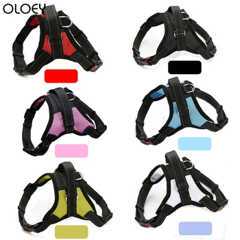

Nylon Heavy Duty Dog Pet Harness Collar Padded Extra Big Large Medium Small Dog Harnesses Vest Husky Dogs Supplies Dog Chain