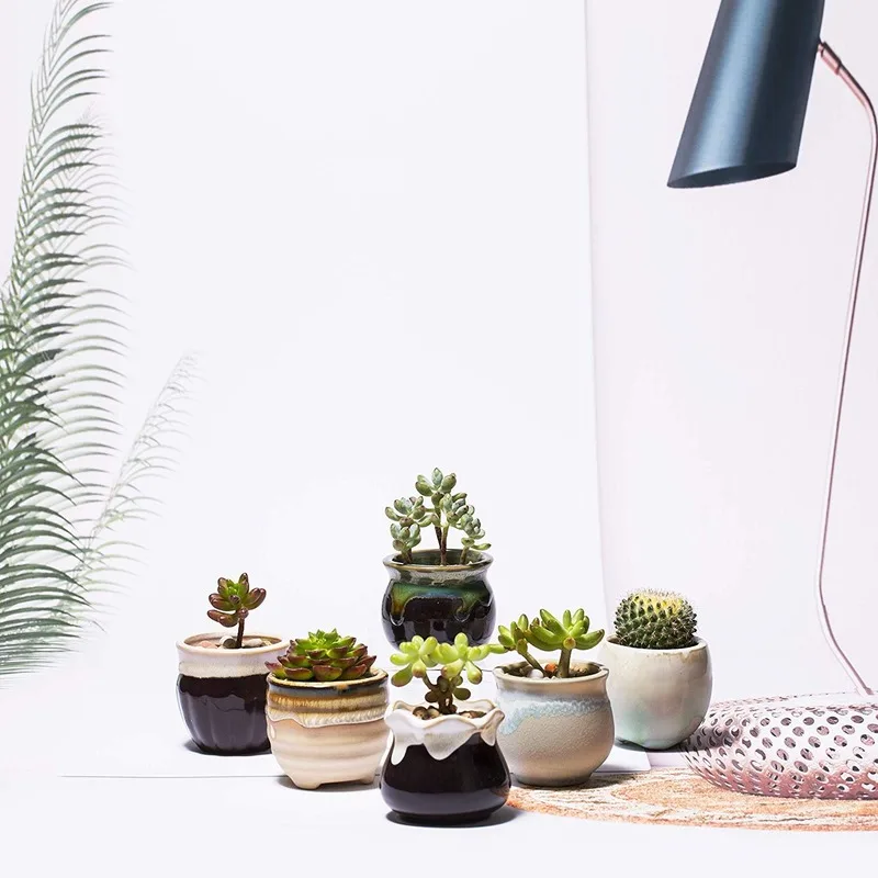Succulent Pots 6 Pack Mini Ceramic Pots Small Flower Planter, Bonsai Cactus Pot with Drainage Hole Perfect Decoration Gift