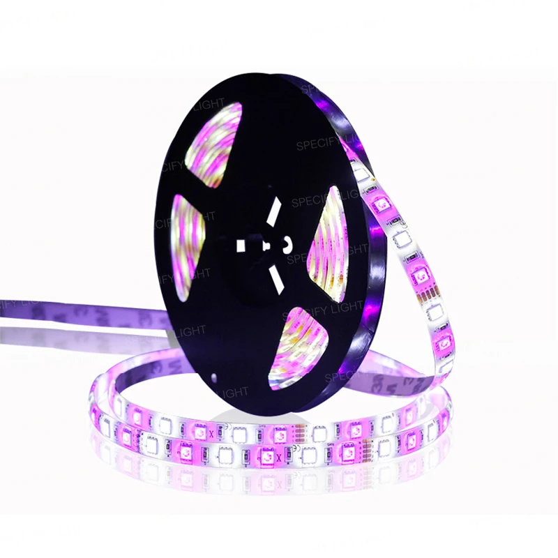 SMD 5050 RGBW LED Strip Light Waterprrof 12V Flexible Ribbon Lighting for Living Room Hotel TV Walls Halloween Christmas Decoration (5)