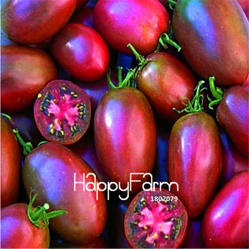 New Fresh 20 Pcs/Lot Rainbow Tomato Plants, bonsai organic vegetable& fruit Plantas,potted plant for home&garden - Цвет: 8