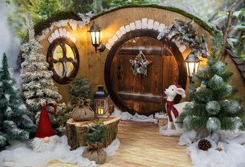 

Wonderland photo-shots background vinyl Cartoon Xmas house photography backdrops for photo studio accessories photophone LV-2338