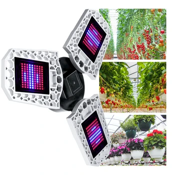 

Led Lamp For Plants E27 Growing Bulb 220V Led Full Spectrum Lighting E26 Indoor Flower Led Grow Light 100W 200W 300W Hydroponics