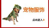 Ji zekee Pet Halloween Articles Factory Pet Decorations Holiday Ball Decoration Star Hat Wizard Front Point Cap