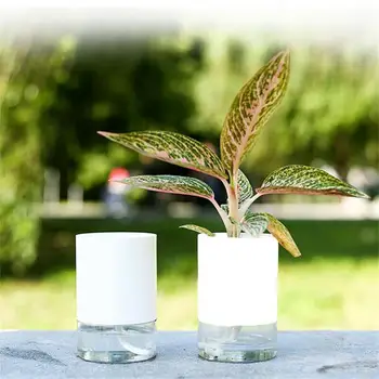 

New Round Transparent Double Layers Flowerpot Planter Pots For Flowers Self Watering Planter Flower Pot Desktop Home Decor