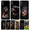 Mignon Rottweiler chien couverture Coque de téléphone pour Iphone 11 12 Mini Pro 7 6X8 6S Plus XS MAX + XR 5S SE 10 9 Art Coque Capa Coque ► Photo 1/6