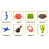 Flying Carpet magic carpet Balance Game Desktop Suspension Kid Interaction Toy 5