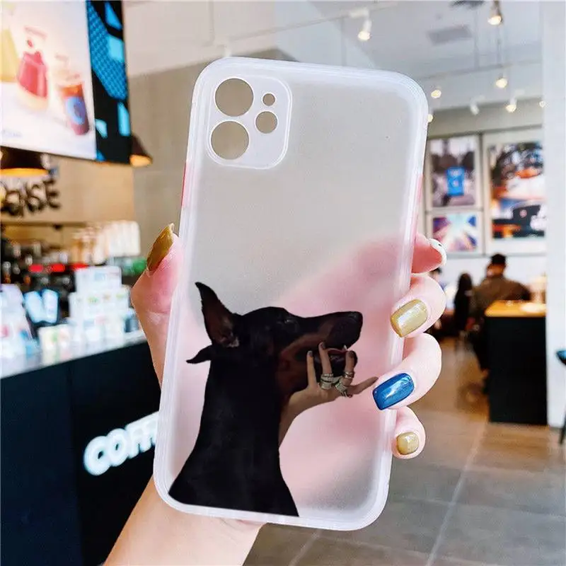 Крутой чехол для телефона Doberman Dog белый прозрачный матовый IPhone 7 8 11 12 S Mini Pro X XS XR MAX
