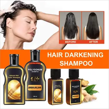 

200ml Hot Polygonum Multiflorum Hair Loss Treatment Shampoo Hair Care Shampoo Bar Ginger Growth Cinnamon Anti-hair Loss Shampoo