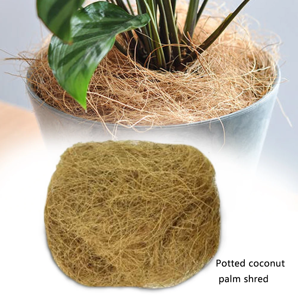 Домашние Горшки Бонсай кокосовый корень рост практичный легко наносится зеленое растение кокосовое волокно маленький питомец сад почвы стерилизованные птичьи гнезда