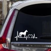 Exterior Accessories