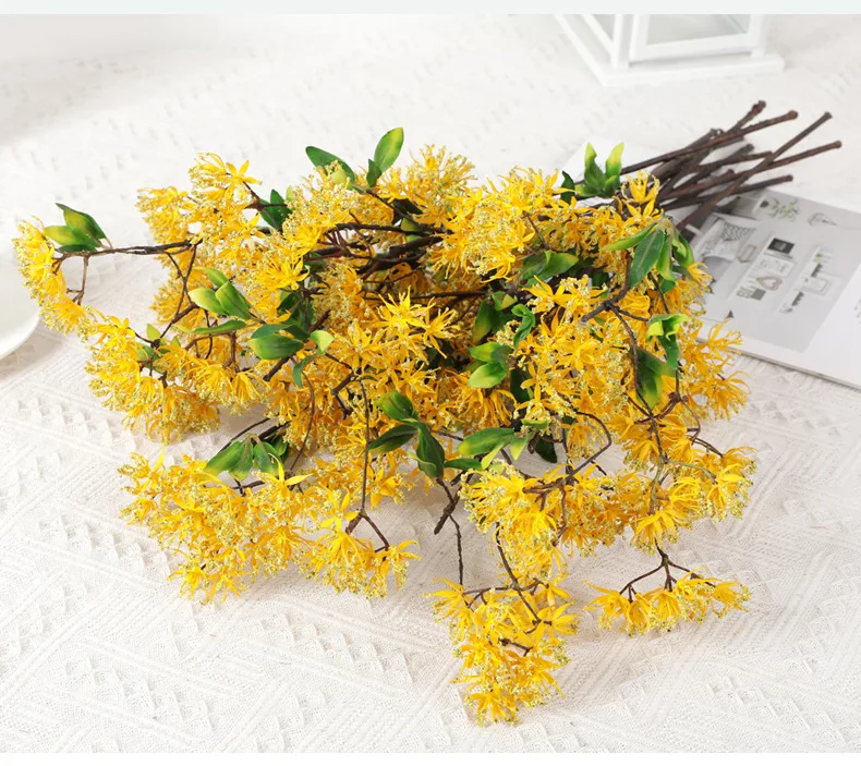 11749311260_1554594402