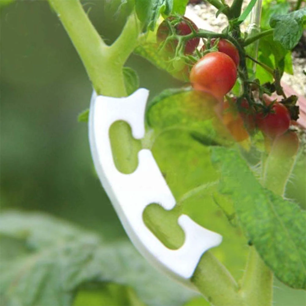 

50 Pcs Tomato Clips Agriculture Greenhouse Retaining Clips Plant Fruit Tree Branches To Strengthen Support Clip Tool Hot Sale